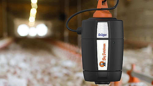 csm_Poultry-pig-climate-control-Gefluegel-DOL-53-Stall-Big-Dutchman_72_bdc554357f.jpg